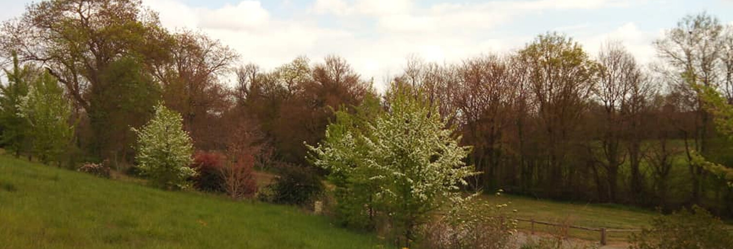 Terrain  1611 m² à vendre à Fleurance (32500)