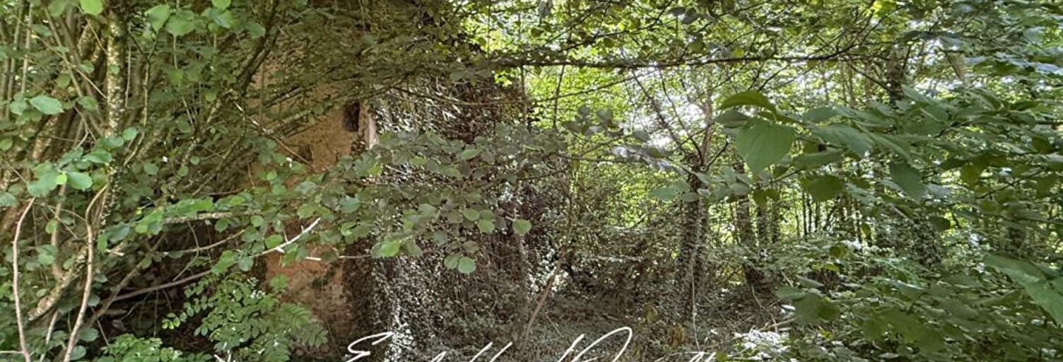 Terrain  700 m² à vendre à Champier (38260)