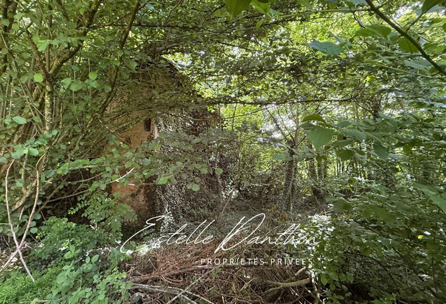 Terrain constructible de 700 m2 avec foret de 6000m2 — photo 1