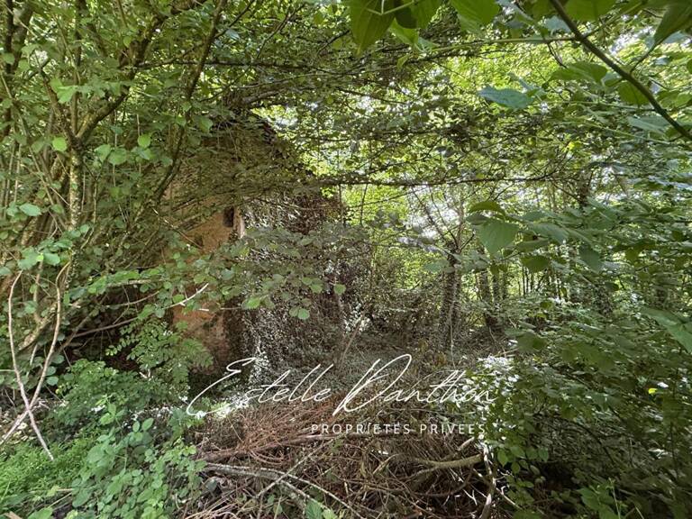 Terrain constructible de 700 m2 avec foret de 6000m2 — photo 1