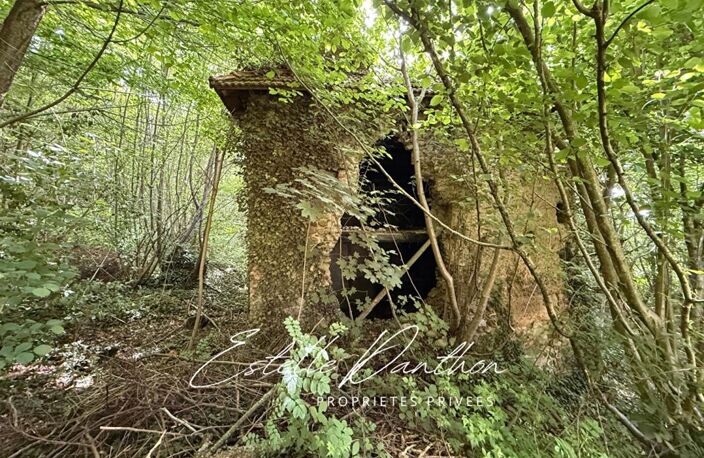 Terrain constructible de 700 m2 avec foret de 6000m2 — photo 2