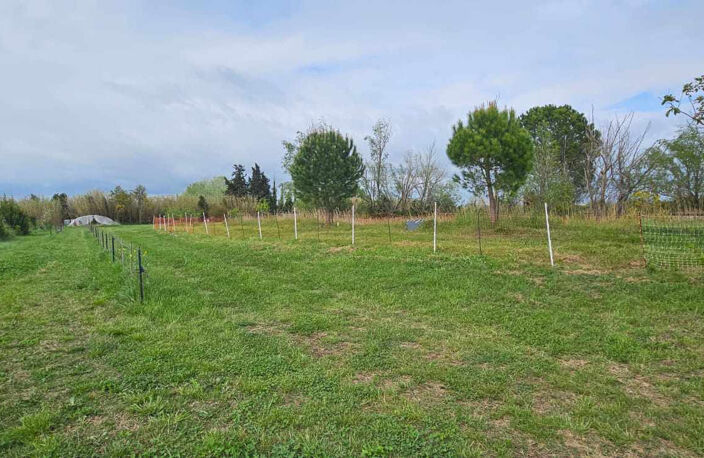Maison Arles 9 pièce(s) 303 m2 SUR 1 hectare de parcelle — photo 5