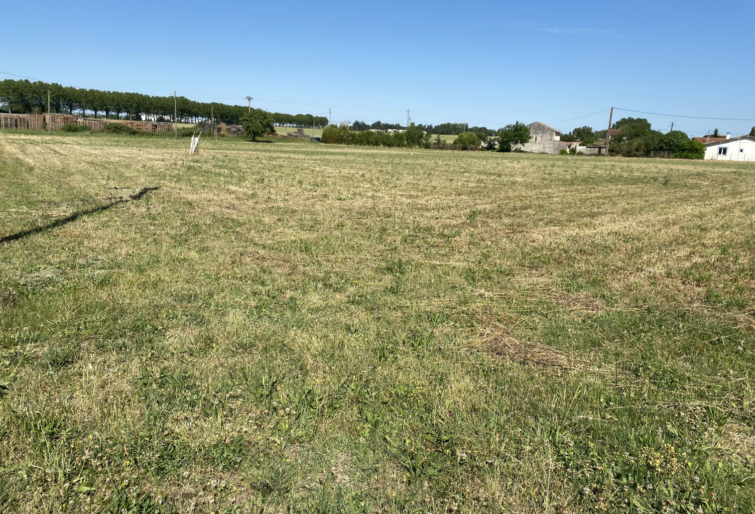 Terrain de 1261 m2 à Saverdun — photo 1