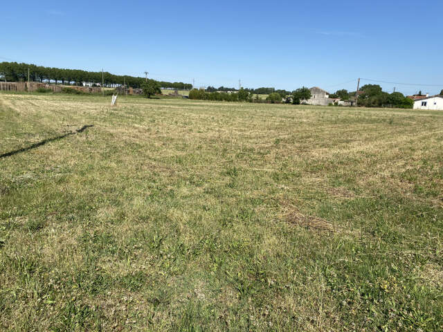 Terrain de 1261 m2 à Saverdun — photo du bien
