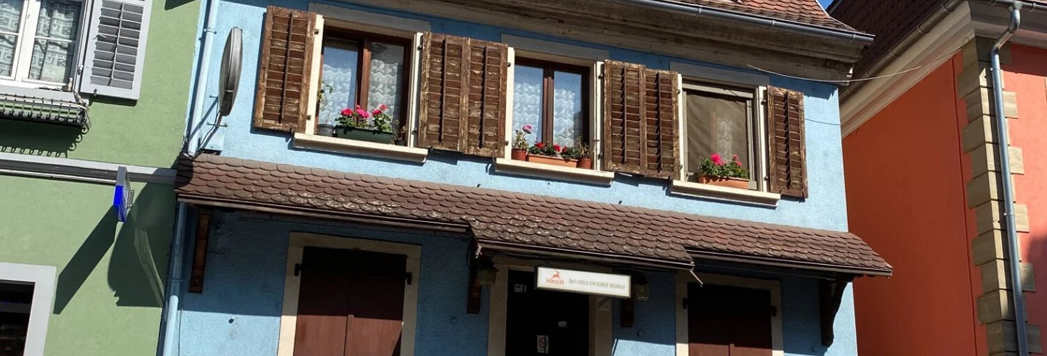 Commerce 8 Pièces 180 m² à vendre à Altkirch (68130)