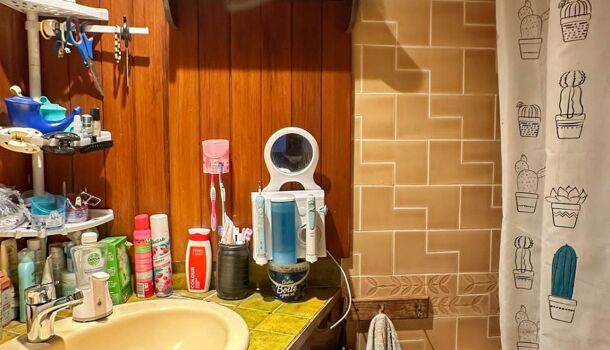 Appartement 4 pièces  à vendre Grenoble 38100