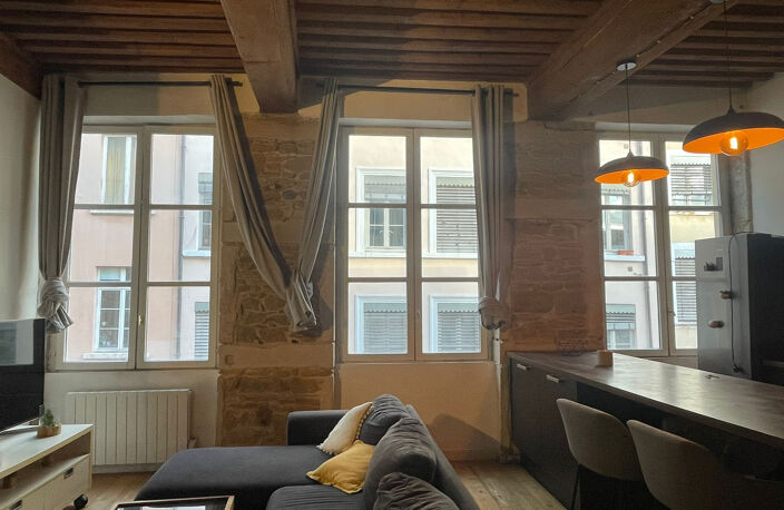 Appartement Haut de Gamme  rue Imbert-Colomès   Lyon 1er — photo 4