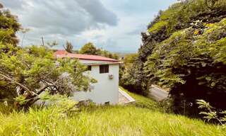 Maison 9 Pièces 297 m² à vendre à Le Marigot (97225)