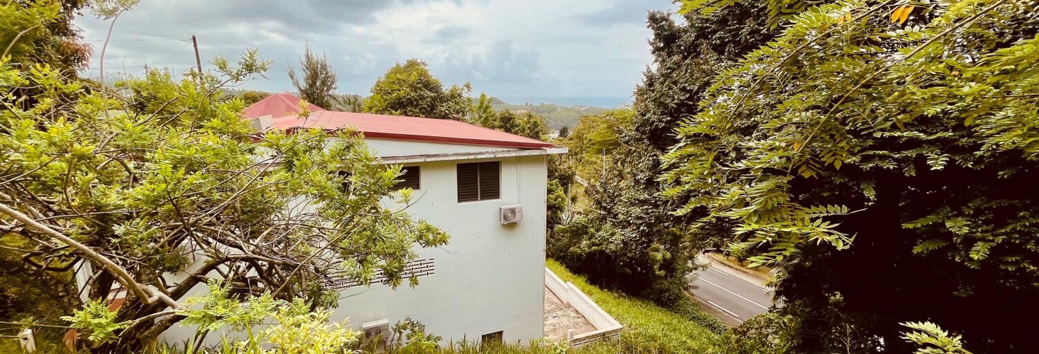 Maison 9 Pièces 297 m² à vendre à Le Marigot (97225)