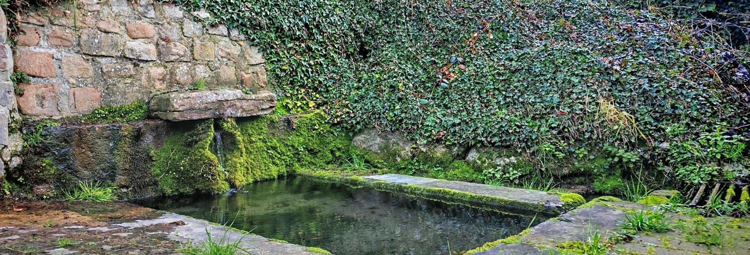 Maison 3 Pièces 80 m² à vendre à Maresches (59990)