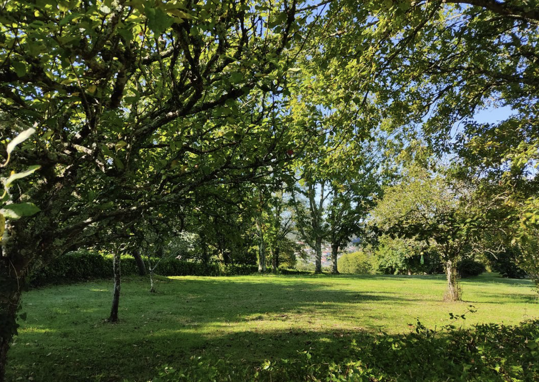 Terrain  à vendre Briscous 64240