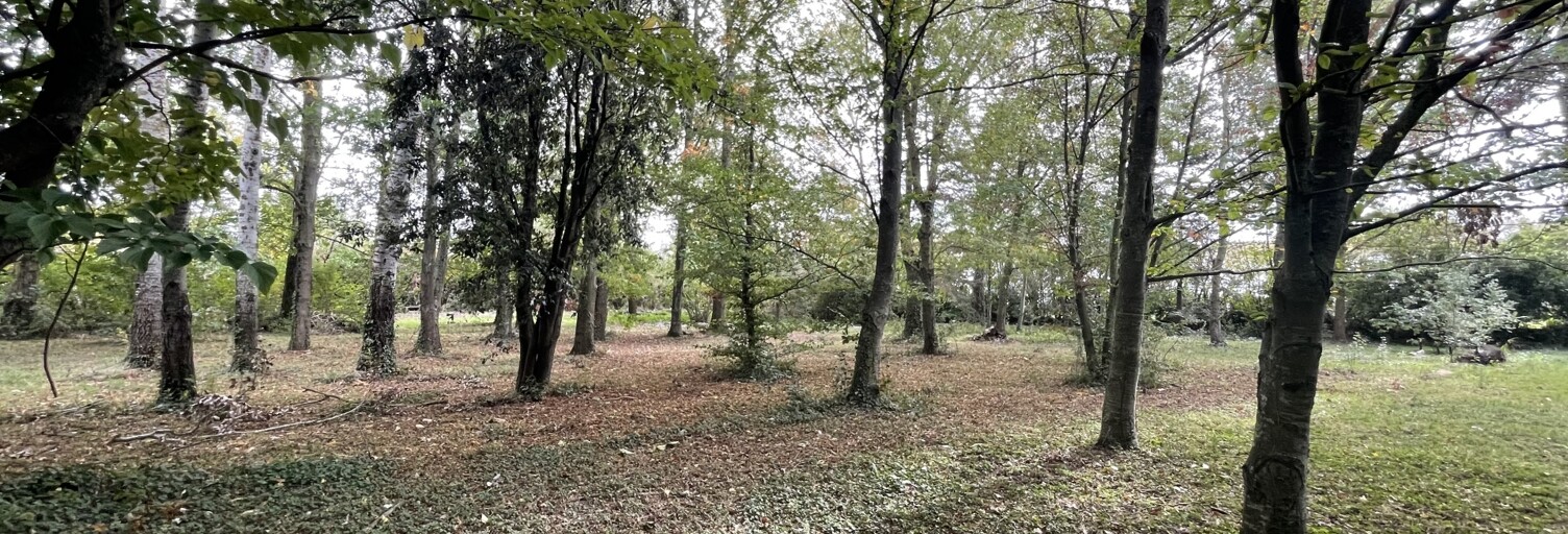 Terrain  700 m² à vendre à Baziège (31450)