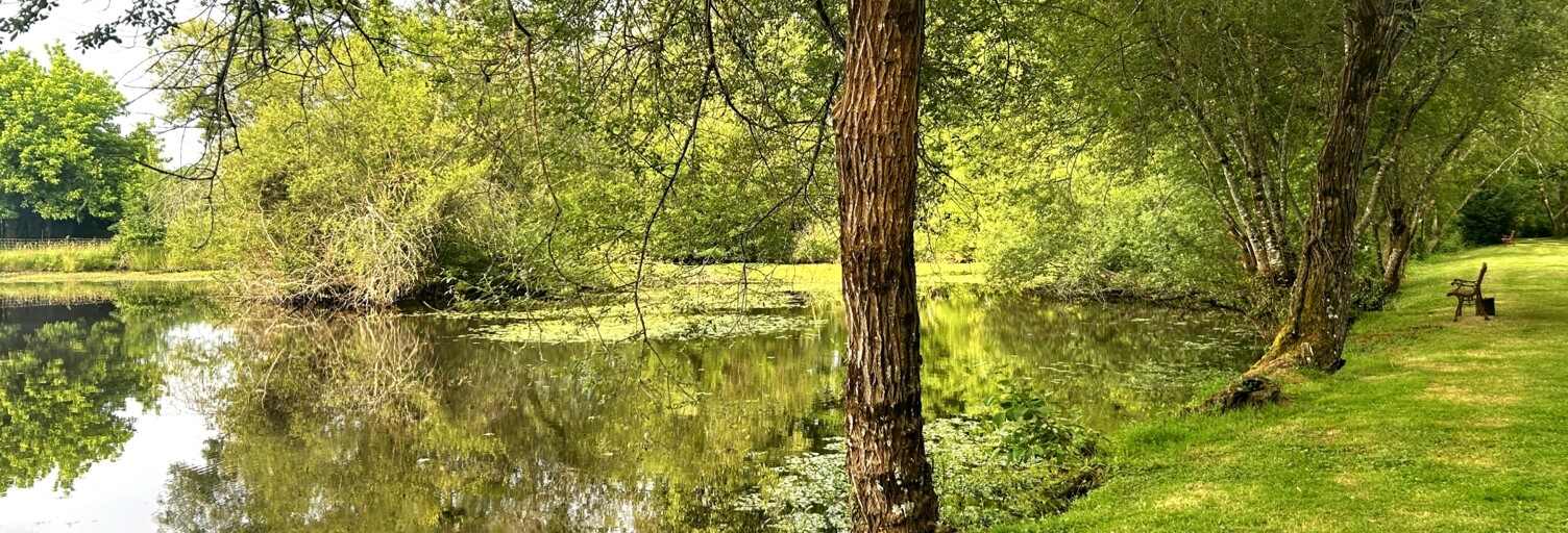 Maison 4 Pièces 87 m² à vendre à Saint-Martial-d'Artenset (24700)