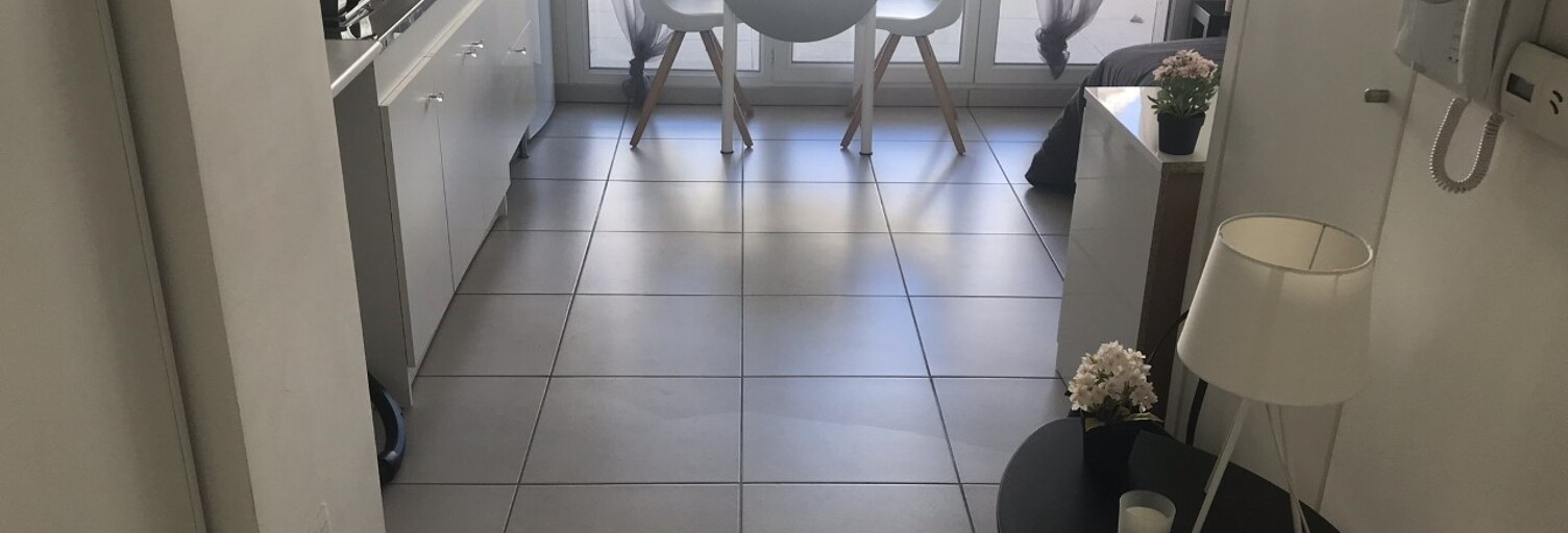 Appartement 1 Pièce 21 m² à louer à Lyon 7 (69007)
