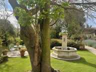 Domaine — photo 4