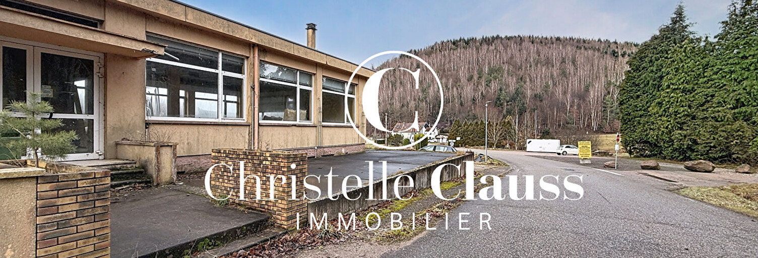 Maison 4 Pièces 120 m² à vendre à Abreschviller (57560)