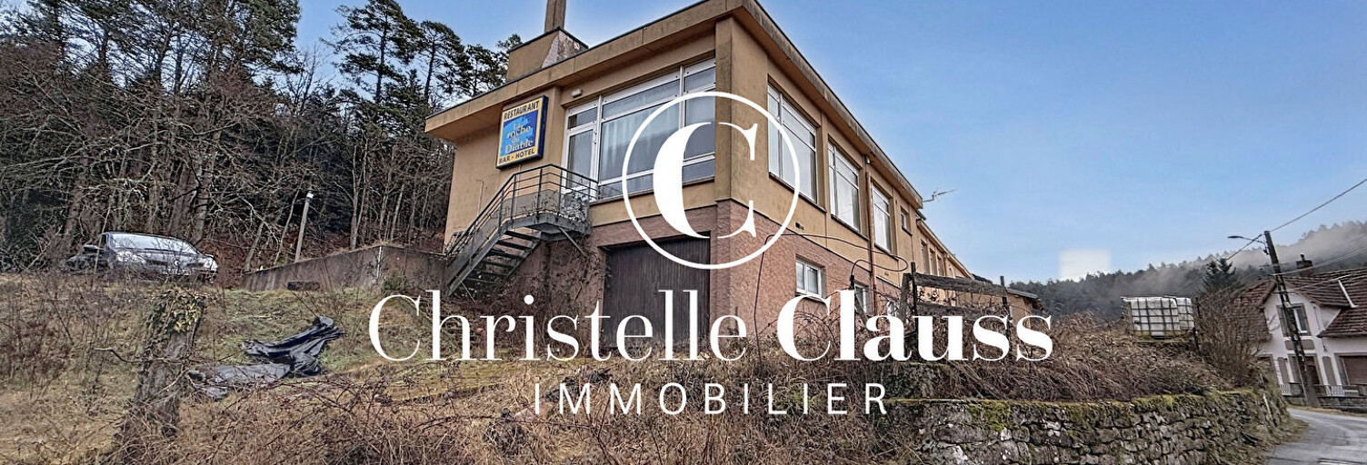 Maison 4 Pièces 120 m² à vendre à Abreschviller (57560)