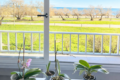 Appartement 3 pièces 302500 €