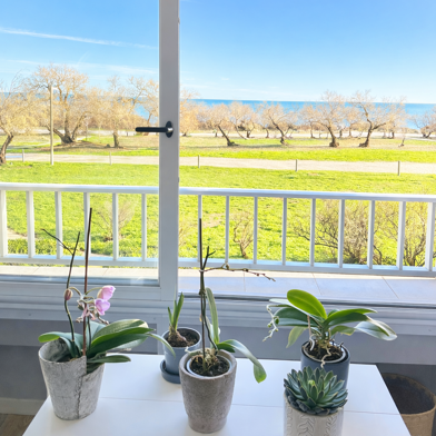 Appartement 3 pièces 302500 €