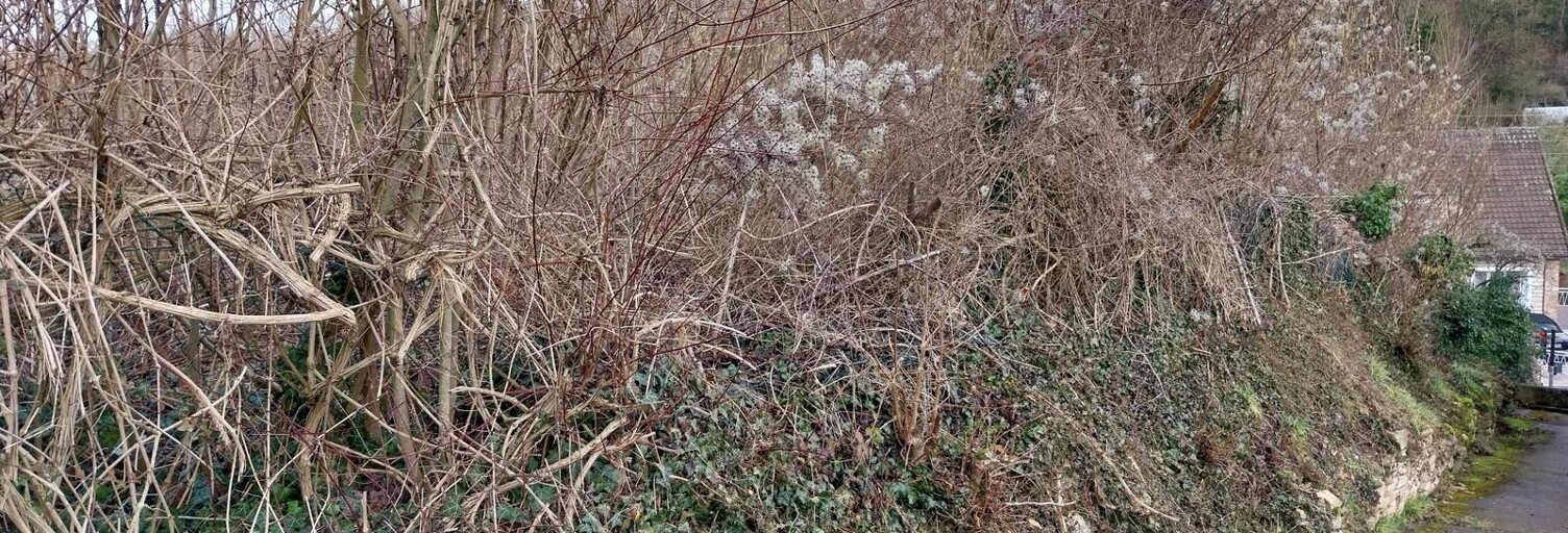 Photo N° 2