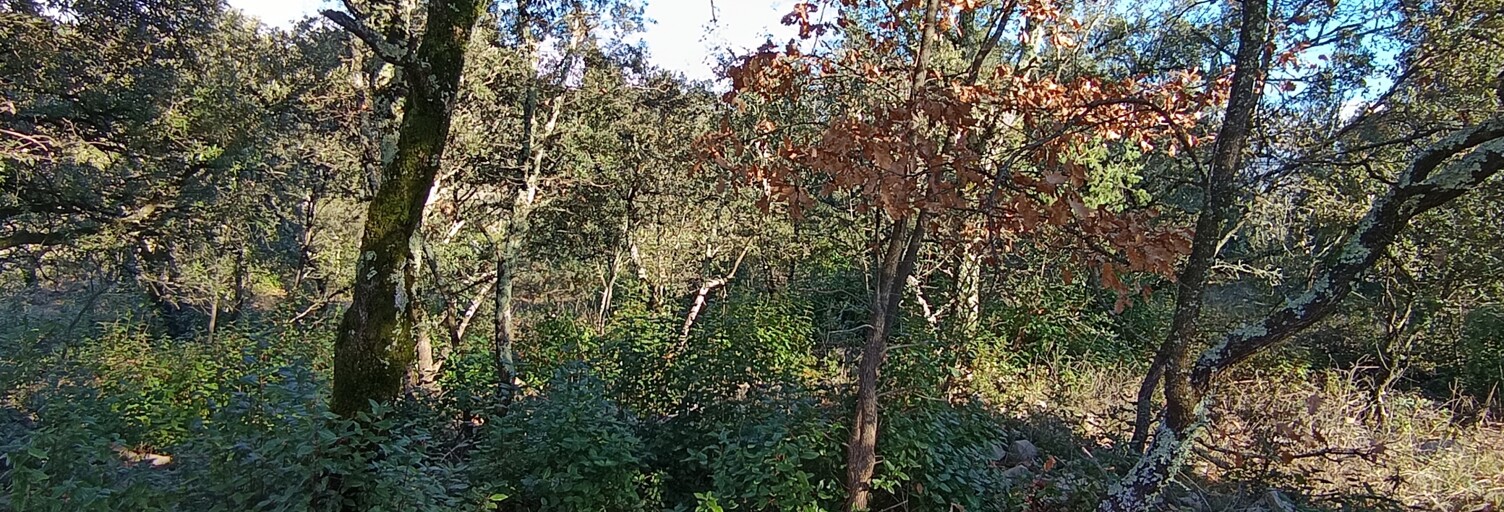 Terrain  1872 m² à vendre à Les Vans (07140)