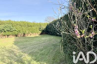 Terrain  229900 €