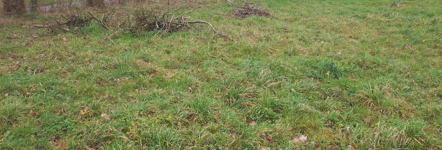 Terrain  1390 m² à vendre à Châteaugiron (35410)