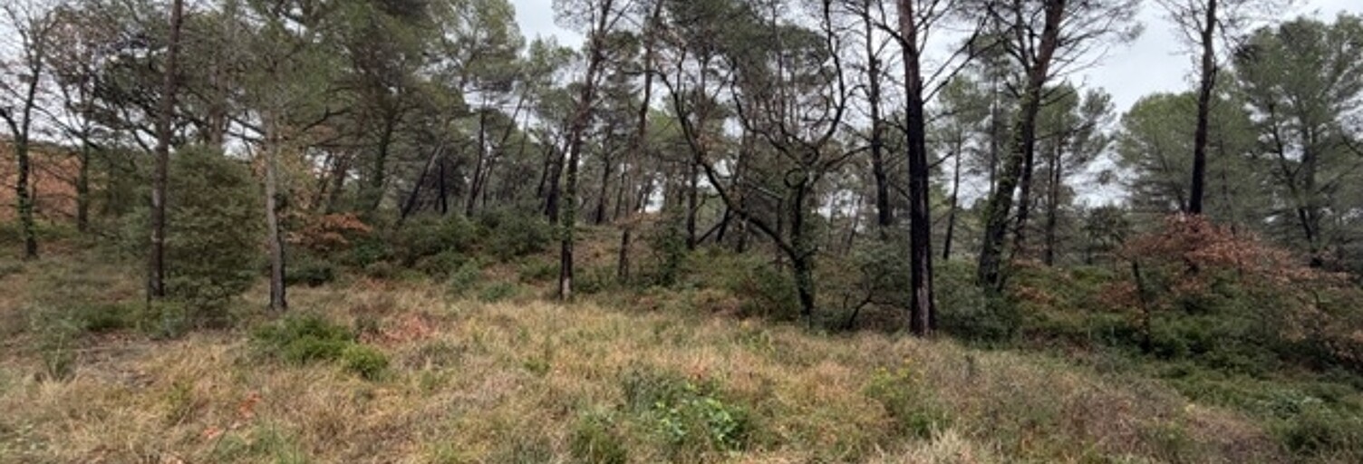 Terrain  6805 m² à vendre à Saint-Cannat (13760)