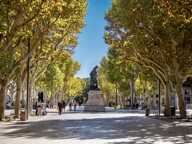 Murs commerciaux — photo 2