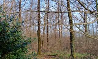 Terrain  24045 m² à vendre à Sainte-Gemme (36500)