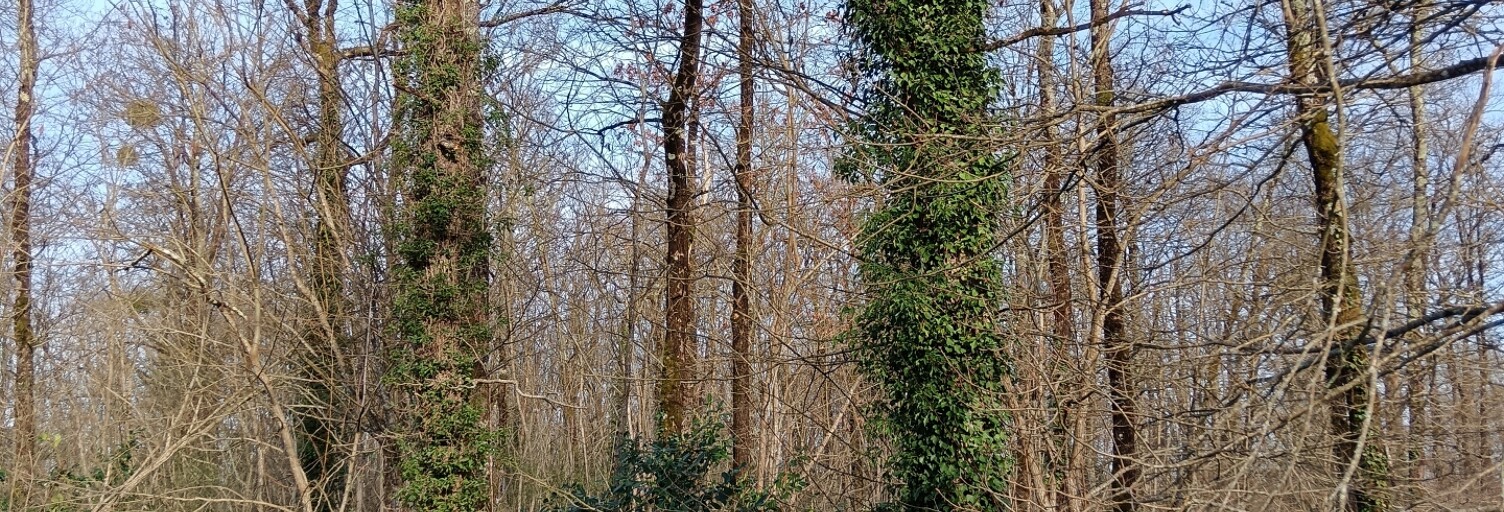 Photo N° 2
