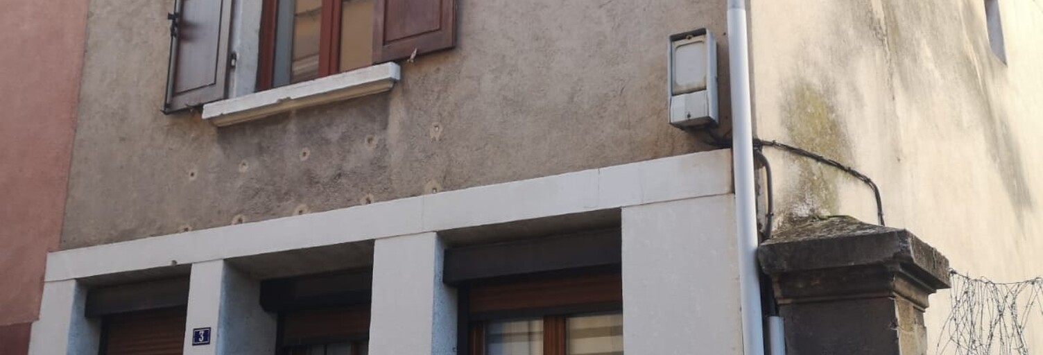 Maison 4 Pièces 58 m² à vendre à Saint-Paul-en-Jarez (42740)