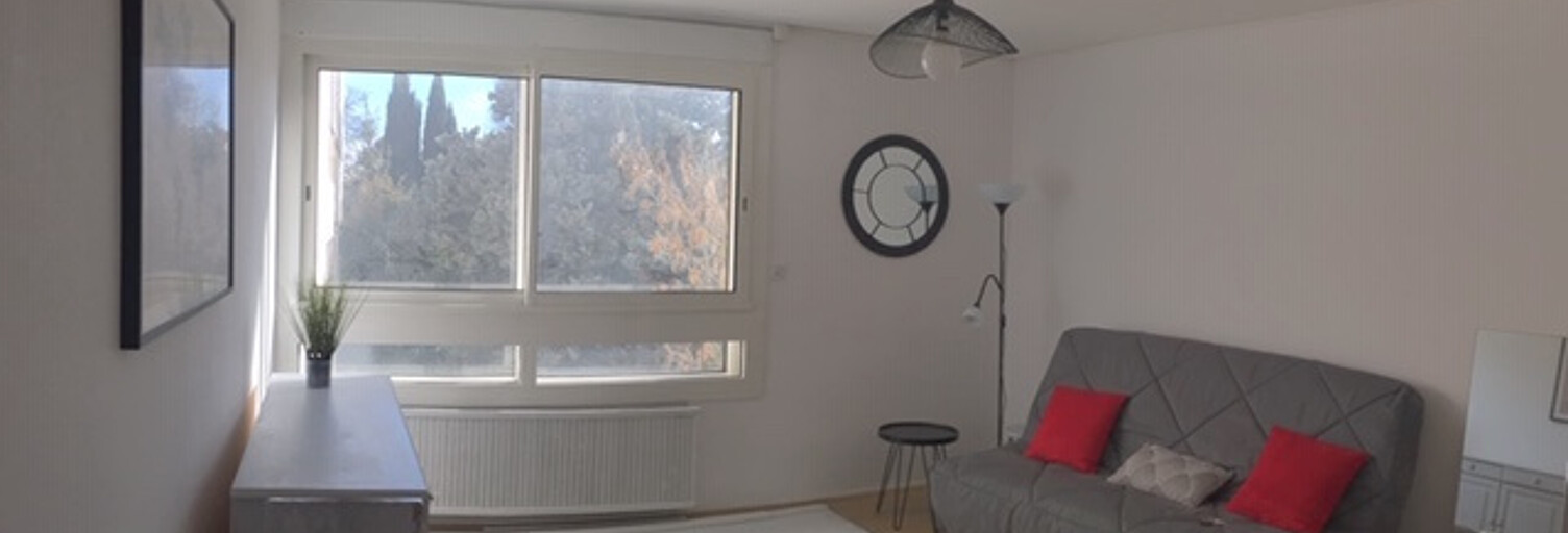 Appartement 1 Pièce 29 m² à vendre à Toulouse (31400)