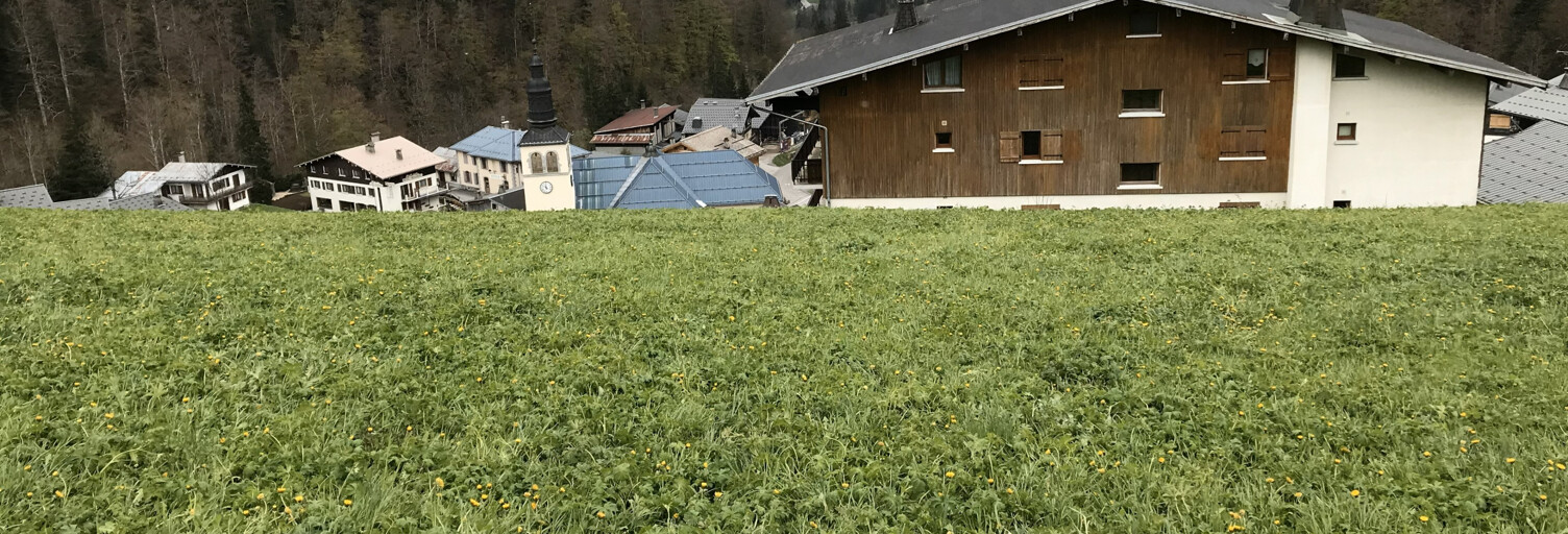 Terrain  2354 m² à vendre à La Giettaz (73590)