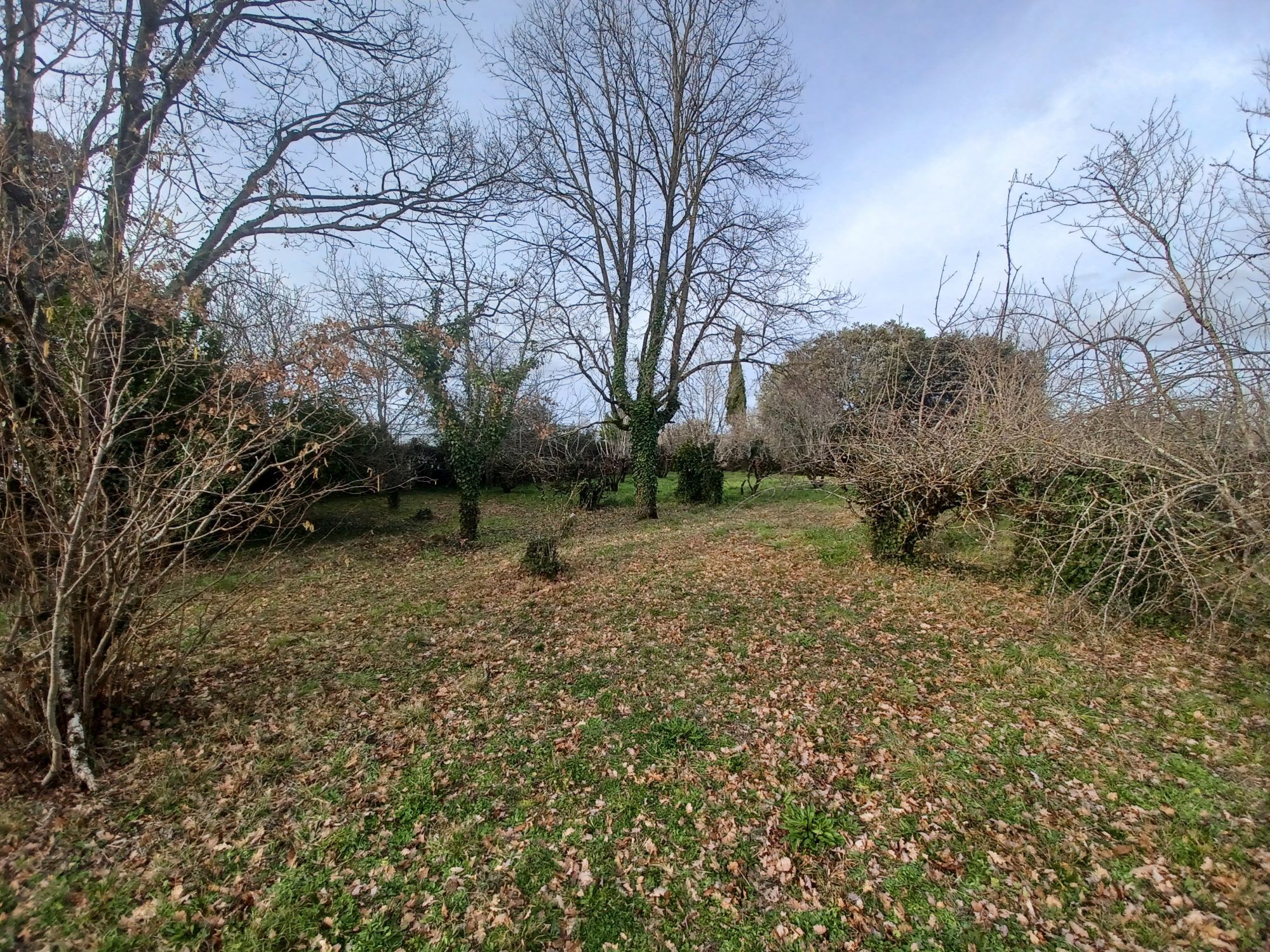 Agence immobilière de BENAC IMMOBILIER RÉALMONT