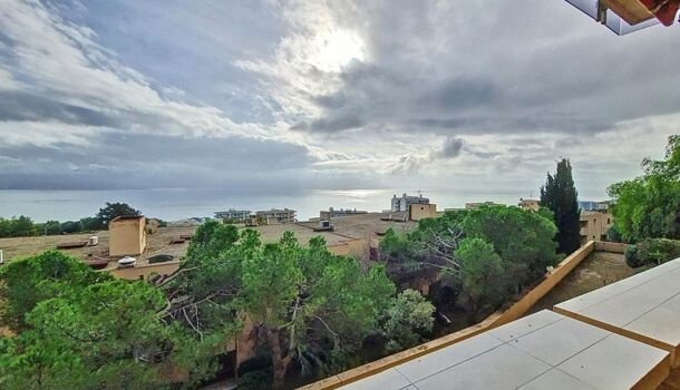 Appartement 5 pièces  à louer Ajaccio 20000