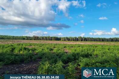 Terrain  62360 €