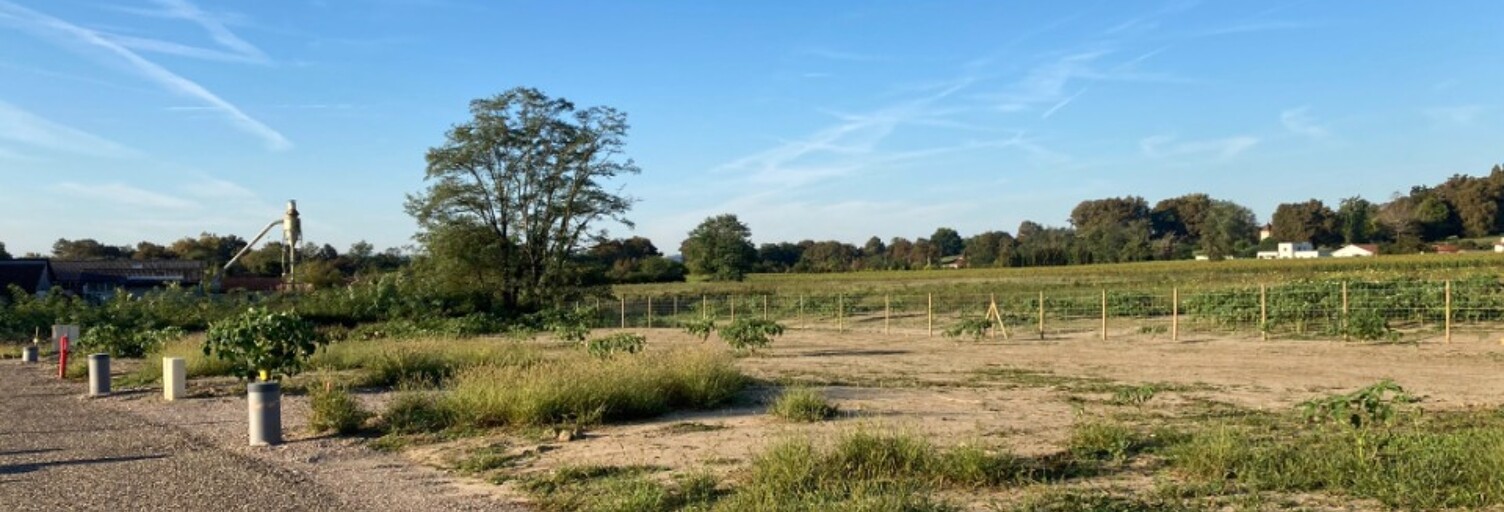 Terrain  403 m² à vendre à Seyresse (40180)