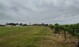 Terrain  800 m² à vendre à Cadillac-sur-Garonne (33410)