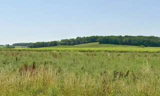 Terrain  771 m² à vendre à Sigoulès-et-Flaugeac (24240)