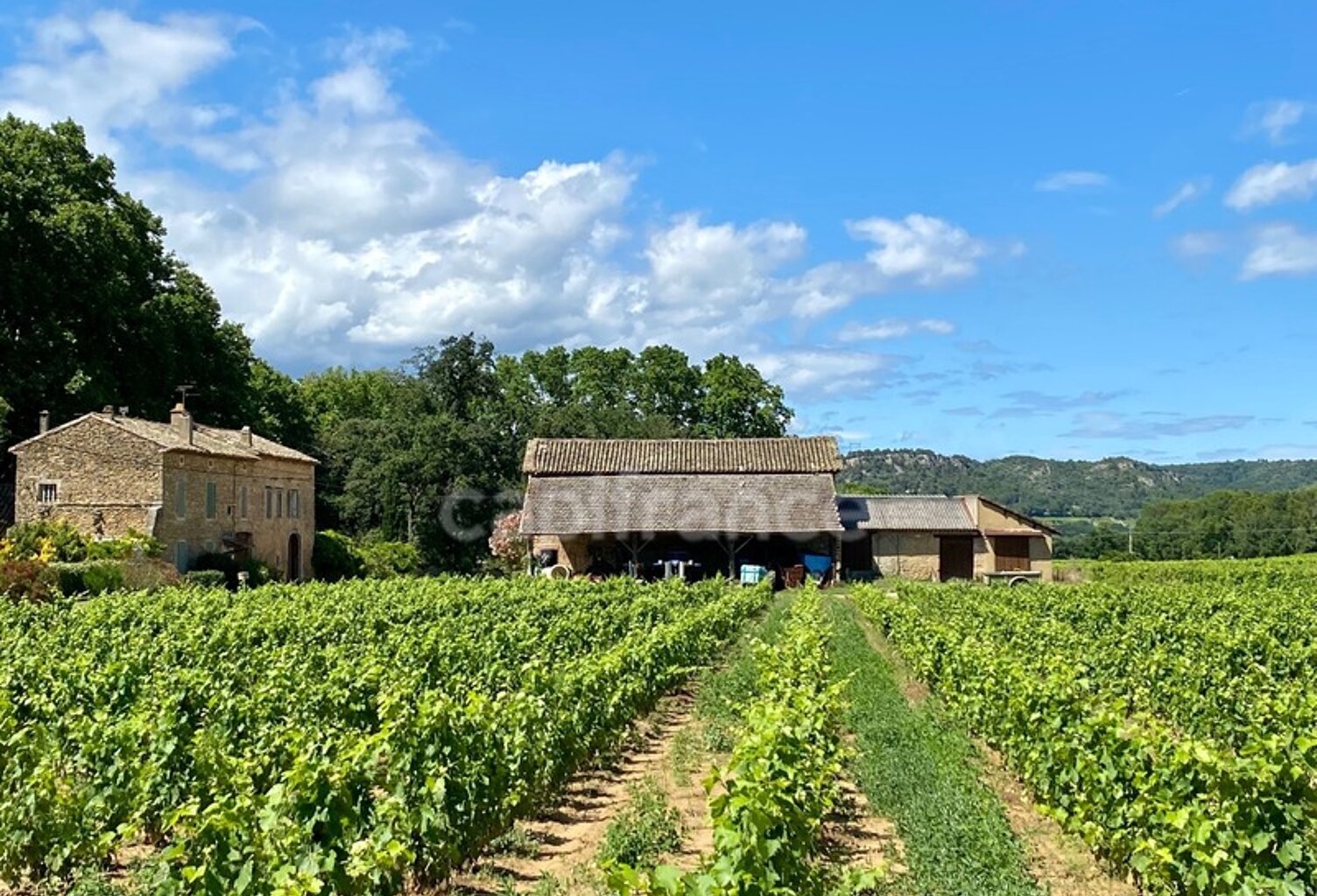 Dpt Gard (30), Domaine viticole de 16 hectares avec Chai et ancienne ferme indépendante — photo 1