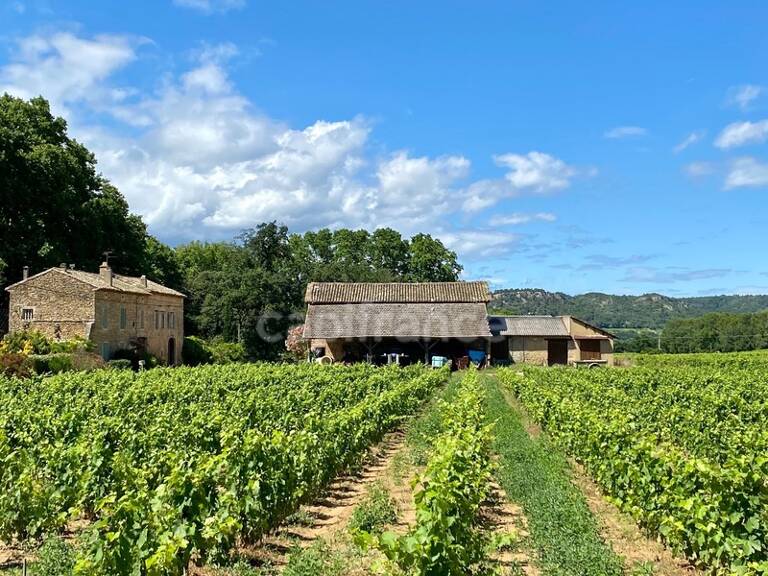 Dpt Gard (30), Domaine viticole de 16 hectares avec Chai et ancienne ferme indépendante — photo 1