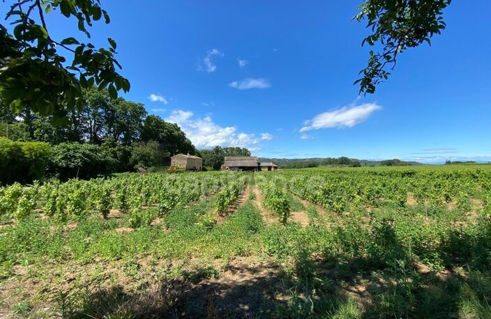 Dpt Gard (30), Domaine viticole de 16 hectares avec Chai et ancienne ferme indépendante — photo 4