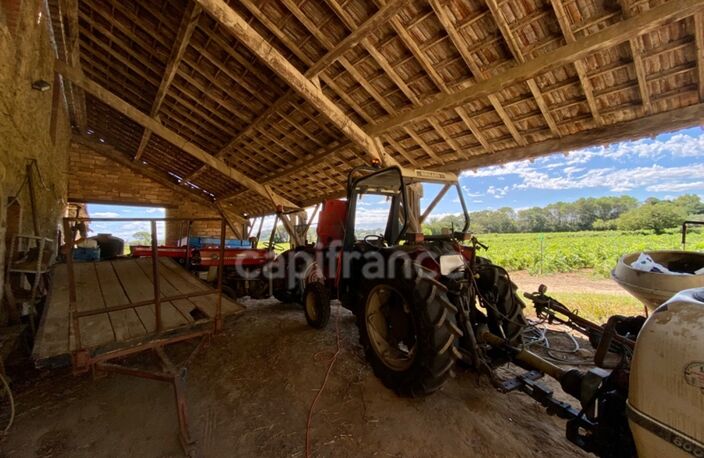 Dpt Gard (30), Domaine viticole de 16 hectares avec Chai et ancienne ferme indépendante — photo 5