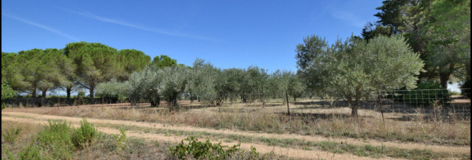 Maison  9730 m² à vendre à Saint-Thibéry (34630)