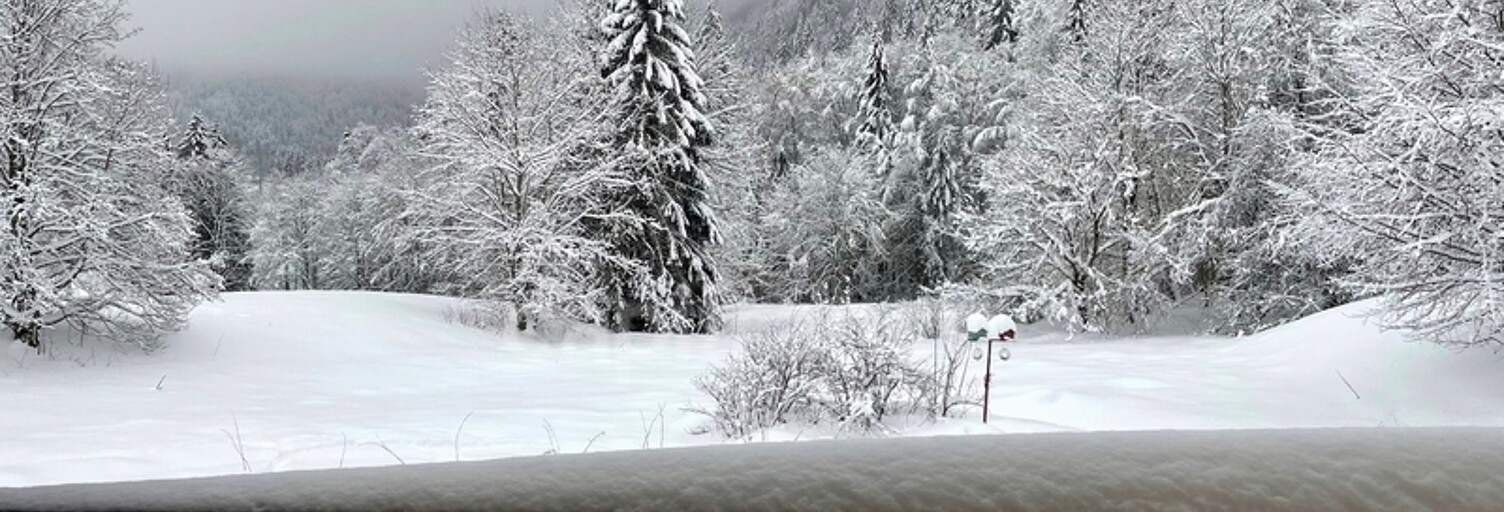 Appartement 1 Pièce 21 m² à vendre à Bellevaux (74470)