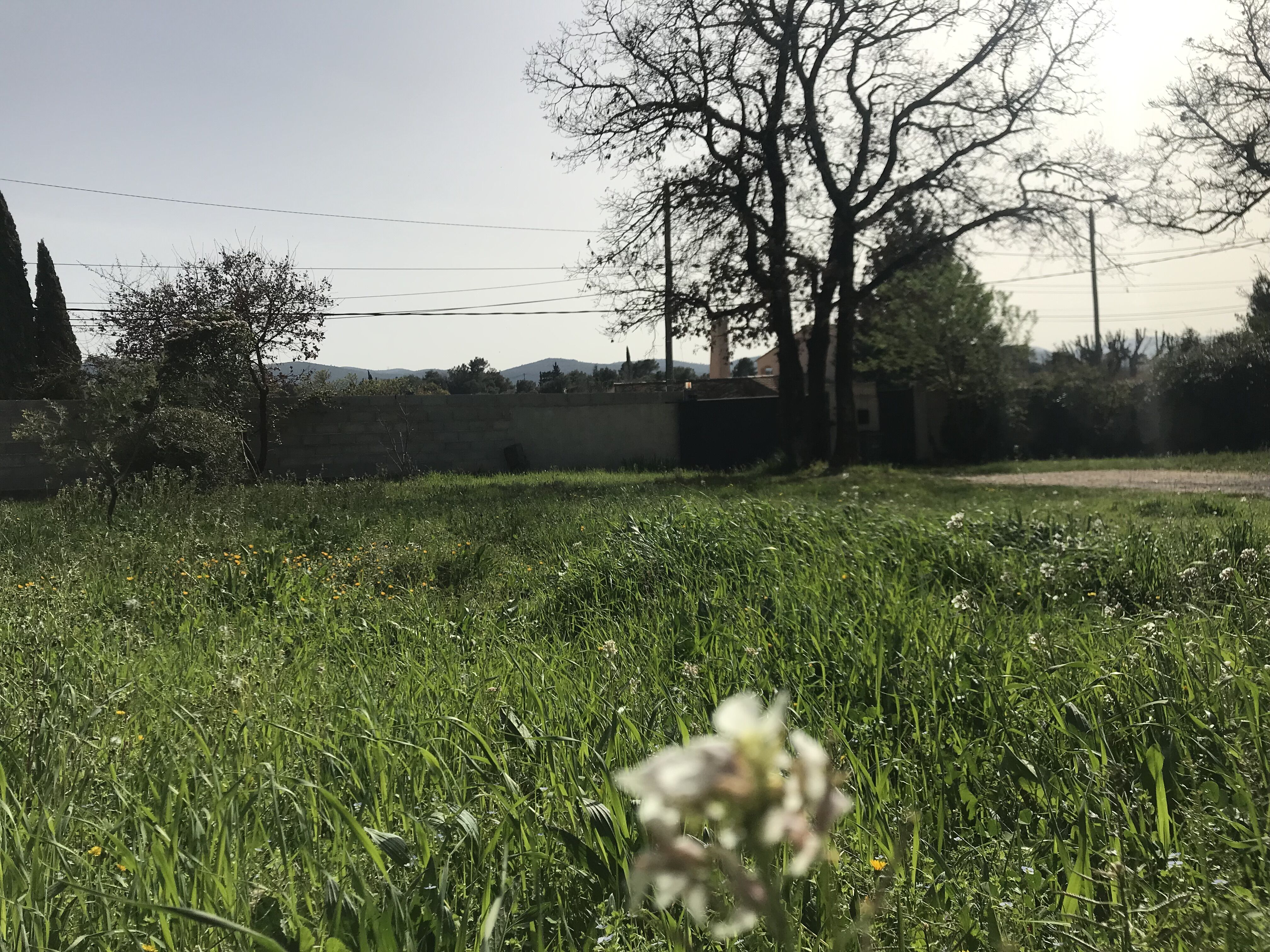 Terrain  à vendre Garéoult 83136