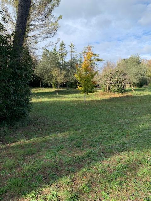 Terrain  à vendre Brignoles 83170