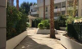 Appartement 1 Pièce 33 m² à louer à Marseille 8 (13008)