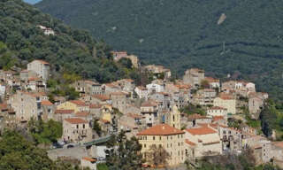 Appartement 1 Pièce 28 m² à vendre à Olmeto (20113)